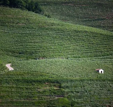 Domaine Mourguy D'hotes Chez Le Vigneron